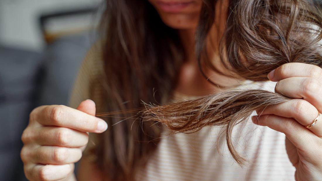 Split ends? How to repair damaged hair