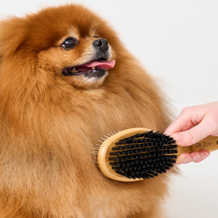 Dr Zoo Bamboo Double Sided Brush grooming a dog, pet grooming tool with pin side for tangles and bristle side for shine, suitable for dogs, cats and horses