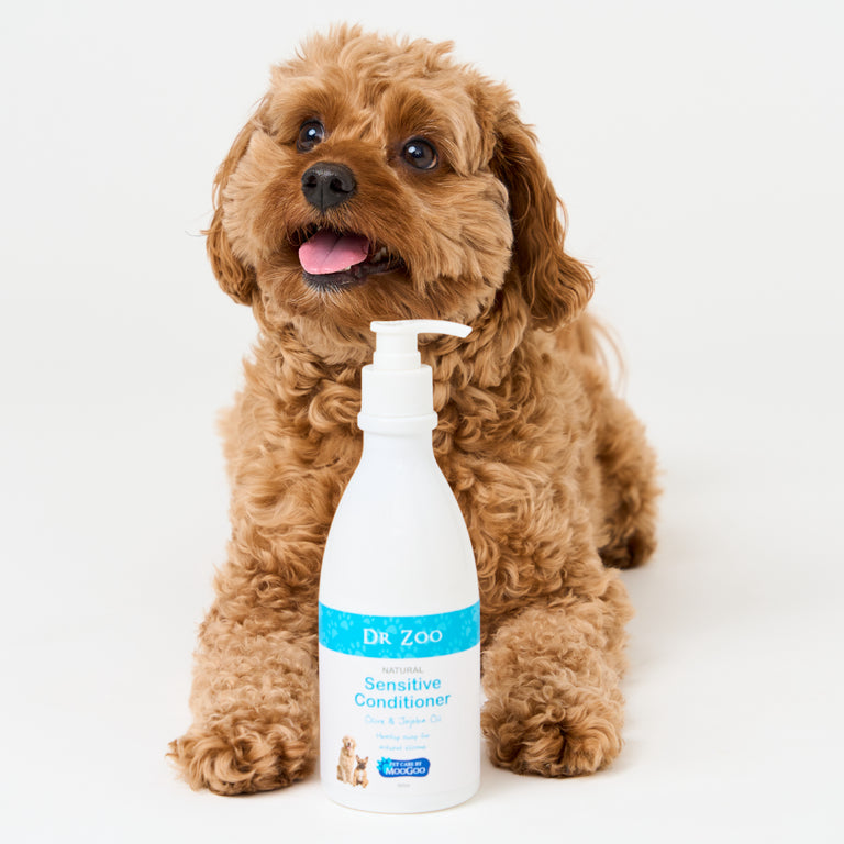 Dog posing with Dr Zoo pet conditioner bottle, silicone free moisturiser with jojoba and olive oil