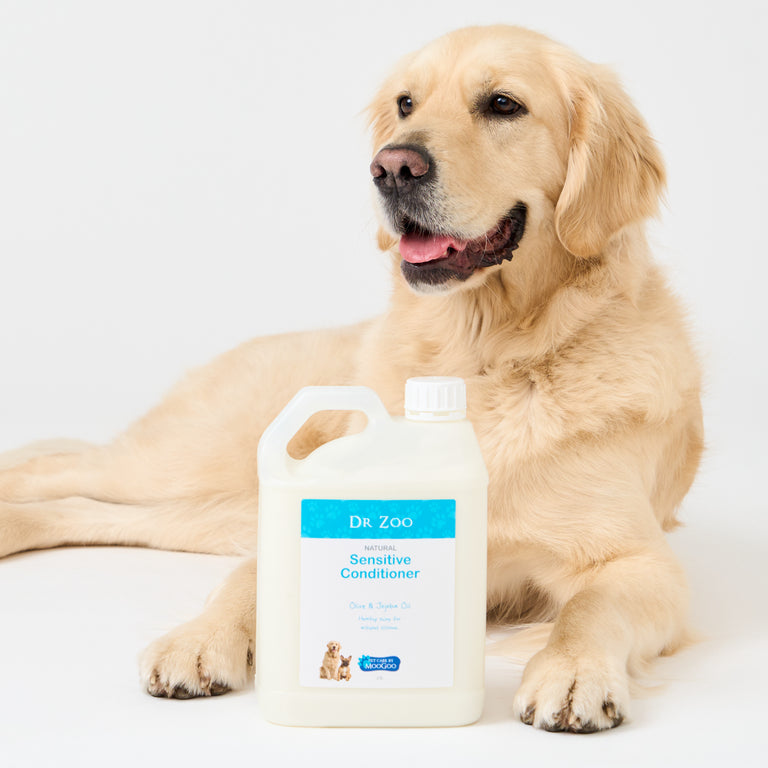 Dog posing with Dr Zoo pet conditioner bottle, silicone free moisturiser with jojoba and olive oil