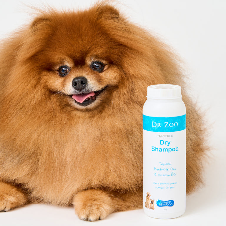 MooGoo Dr Zoo Dry Shampoo shown next to a dog, natural grooming powder with bentonite clay and vitamin B5 to refresh and deodorise fur.