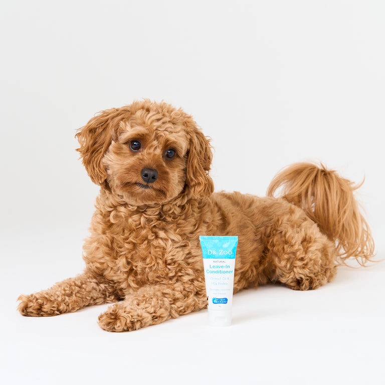 Leave-In Conditioner 50g