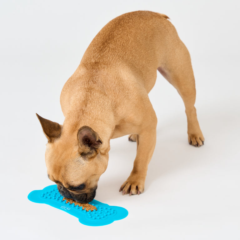 French Bulldog eating from Dr Zoo Lick & Stay Treat Mat on white background, fun alternative to feeding or distraction for bath or grooming time.