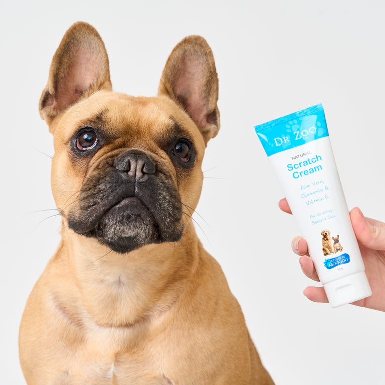 MooGoo Dr Zoo Scratch Cream next to a dog, calming balm with vitamin E and oatmeal for itchy, sensitive skin and scratchy areas on pets
