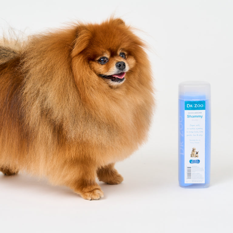 Dr Zoo Quick Absorb Shammy next to dog, soft reusable shammy for pets and bathtime.
