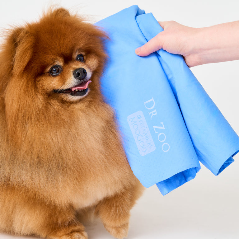 Dr Zoo Quick Absorb Shammy held next to dog, soft reusable shammy for pets and bathtime.