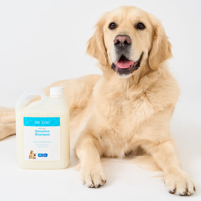 Dog sitting with 2.5L Dr Zoo Sensitive pet shampoo bottle with natural ingredients, aloe vera and rice bran formula, RSPCA supported product