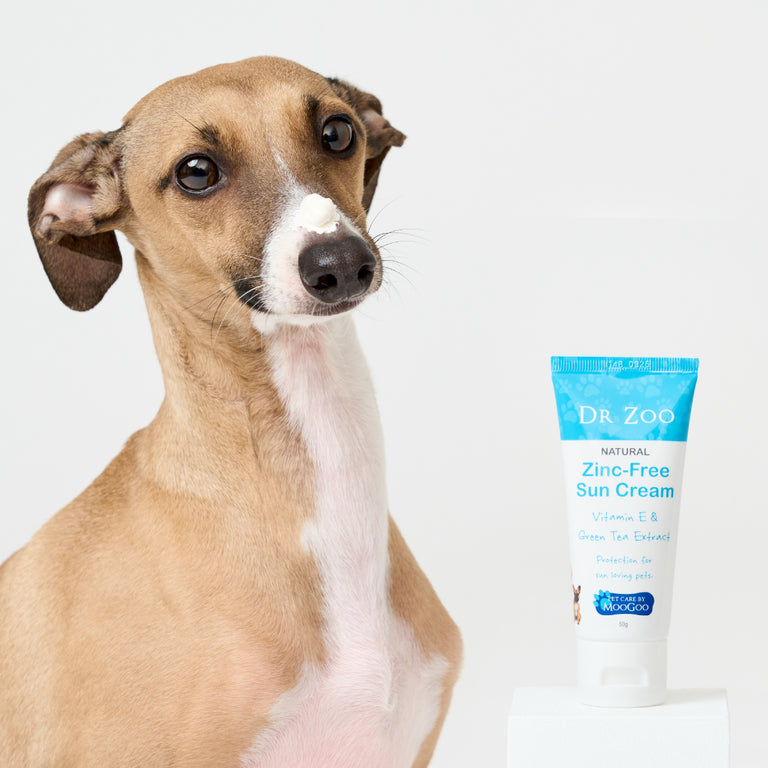 Dog sitting next to Natural Zinc-Free Sun Cream for pets by Dr Zoo, 50g tube with Vitamin E & Green Tea Extract, gentle sunscreen for pink noses and tummies
