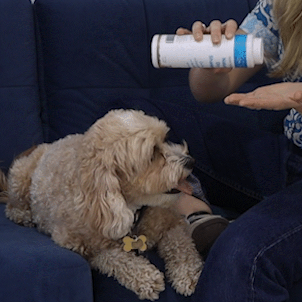 Talc Free Dry Shampoo for Pets 200g