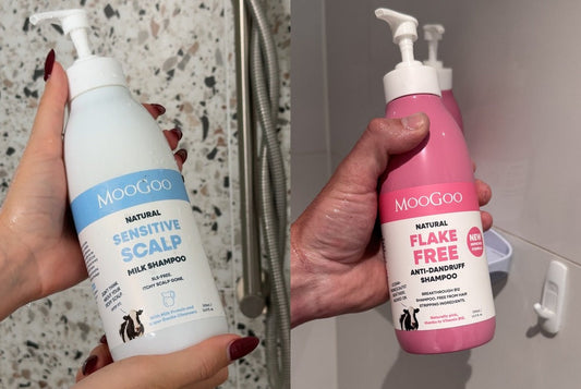 Shampoo For Dry Scalp: Your Guide To Calmer, Flake-Free Days
