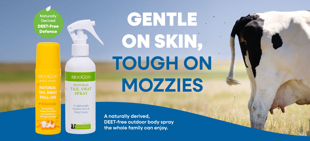 Outdoor Spray