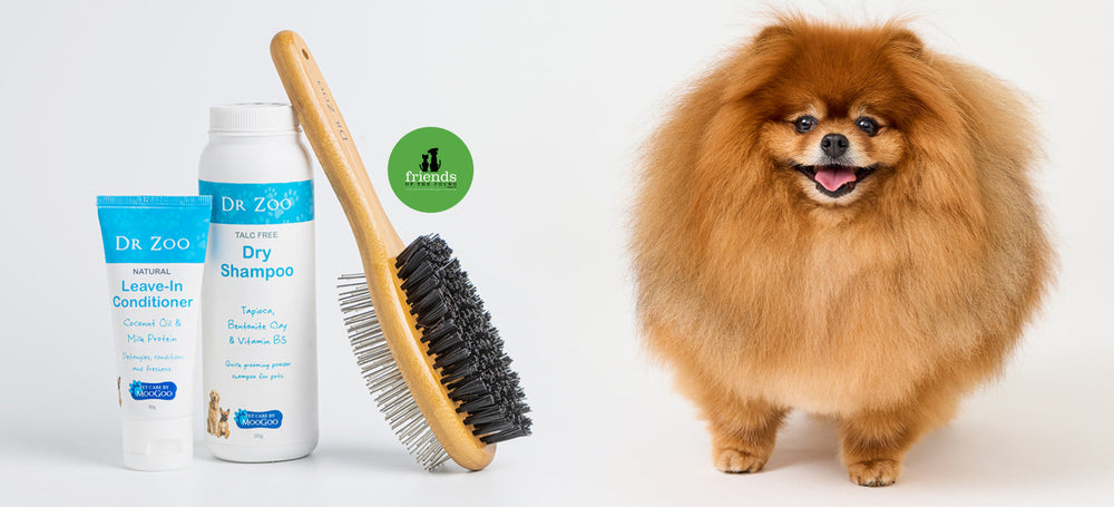 Grooming Time