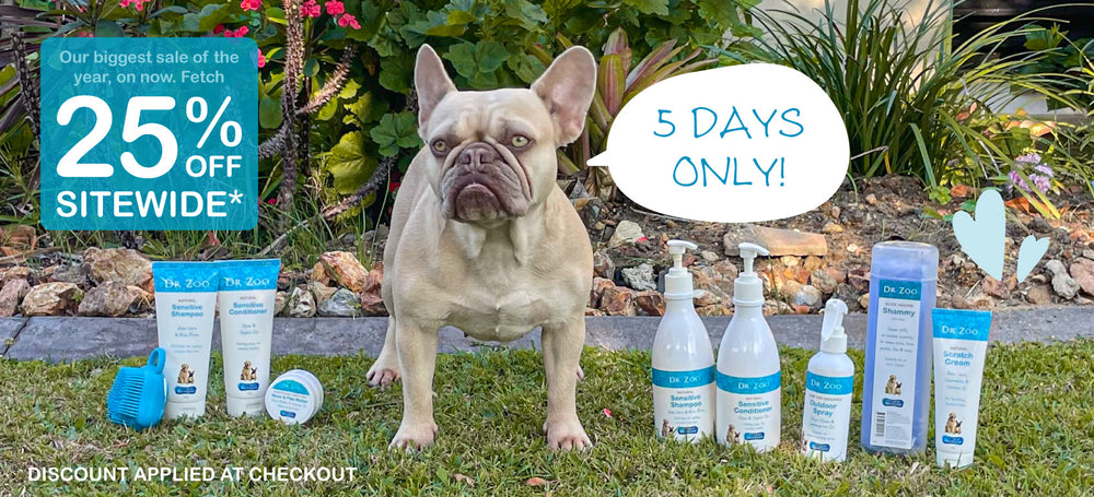 Dr Zoo Black Friday 2025