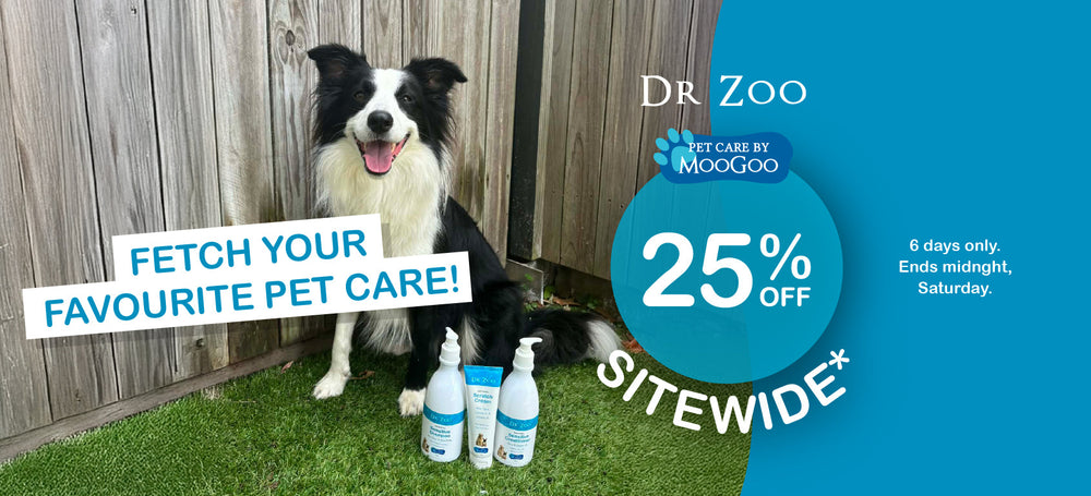 Dr Zoo EOFY 2026