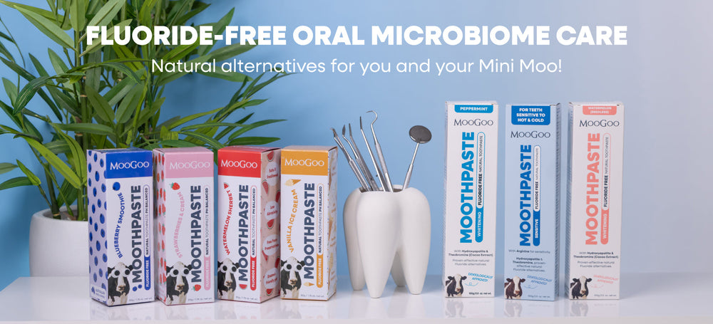 Dental Care