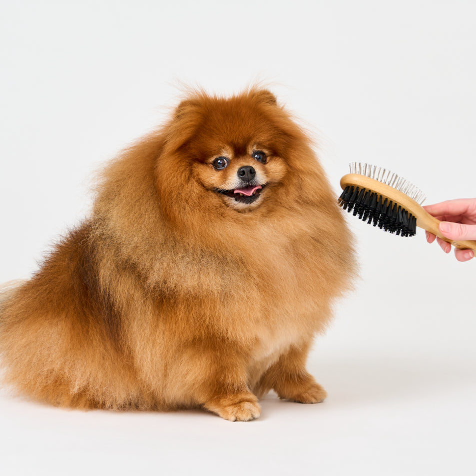 Bamboo Grooming Brush