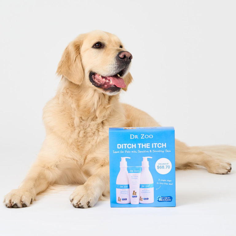 Dr Zoo Ditch The Itch Pack with golden retriever on plain background, natural pet shampoo conditioner and scratch cream for sensitive itchy skin relief