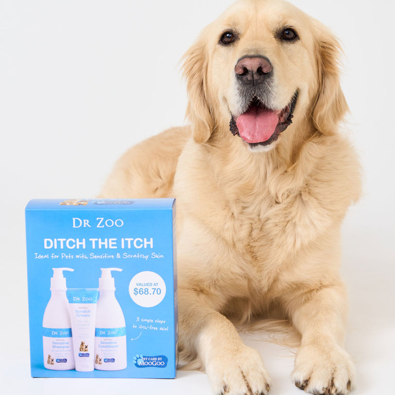 Dr Zoo Ditch The Itch Pack with golden retriever on plain background, natural pet shampoo conditioner and scratch cream for sensitive itchy skin relief