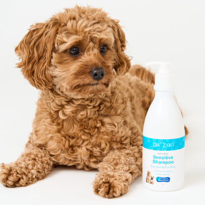 Natural Shampoo For Itchy Pets Soothing Ingredients Natural Pet Care by MooGoo MooGoo AU