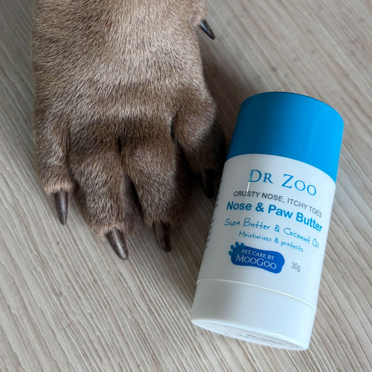 Dr Zoo Crusty Nose, Itchy Toes Nose & Paw Butter next to a dogs paw on a wooden floor. 