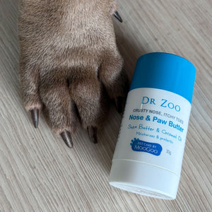 Dr Zoo Crusty Nose, Itchy Toes Nose & Paw Butter next to a dogs paw on a wooden floor. 