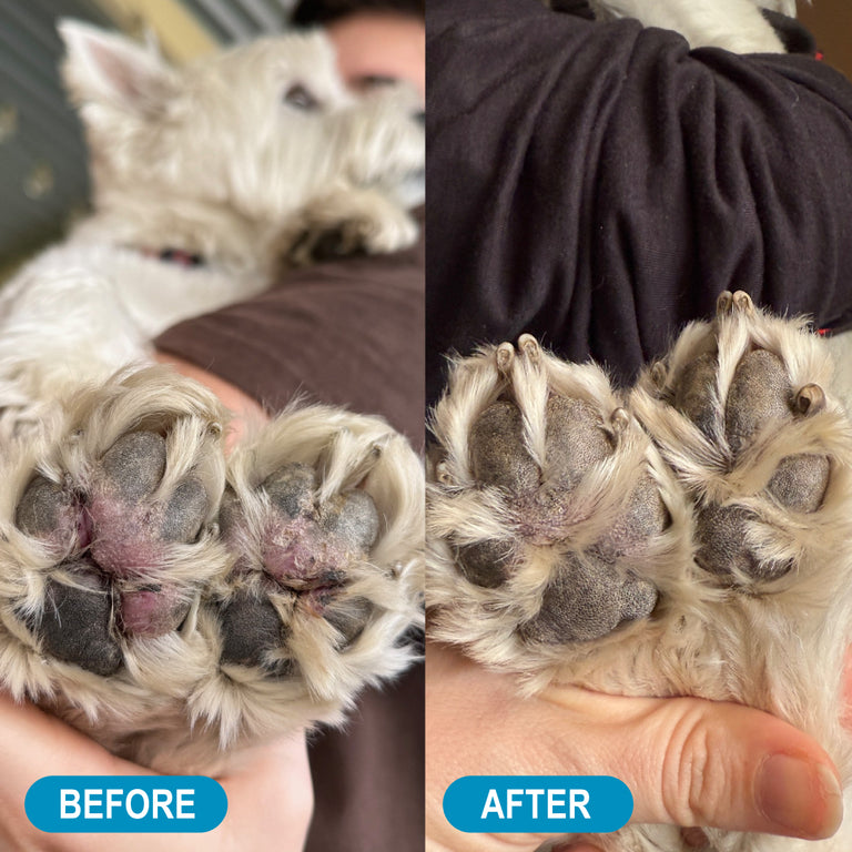 Crusty Nose, Itchy Toes Nose & Paw Butter 30g