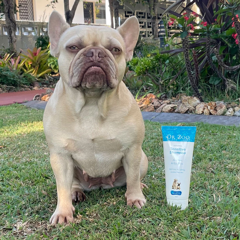 Bath Time Super Saver Pack