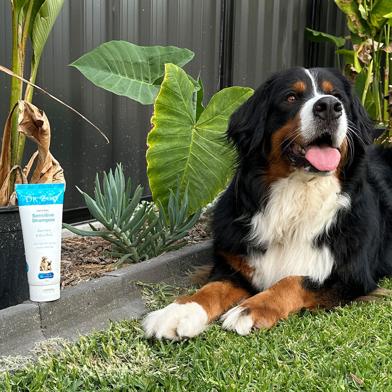 Bath Time Super Saver Pack