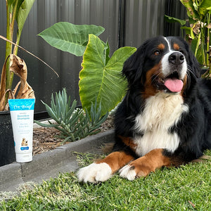 Bath Time Super Saver Pack