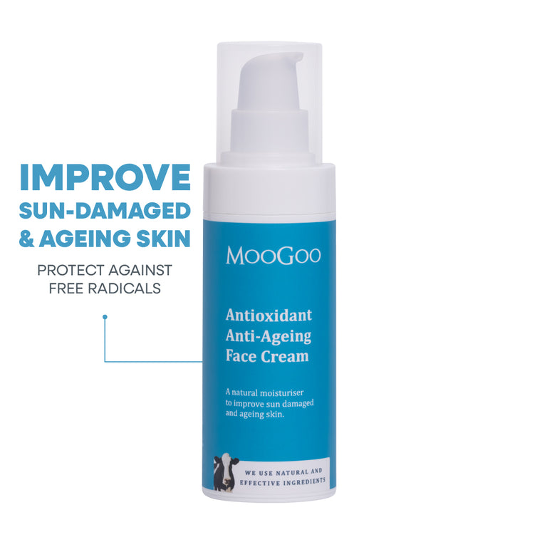 Antioxidant Anti-Ageing Face Cream 75g