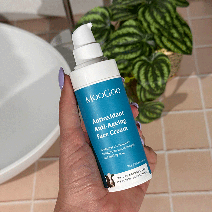 Antioxidant Anti-Ageing Face Cream 75g