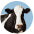 MooGoo cow